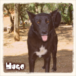 yugo 3 20160229 1232596355