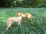 katy und kitty 2 20110509 1014478862 katy und kitty 2 20110509 1014478862