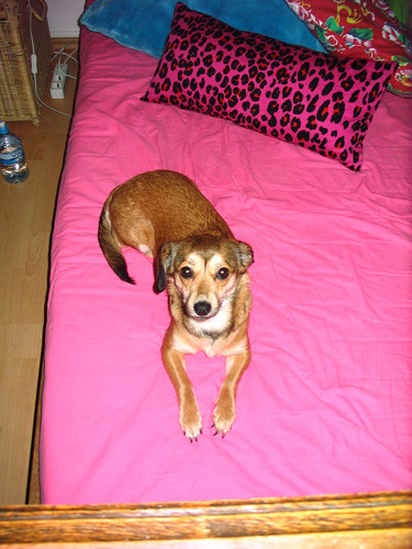 luna 20110302 1477169669 luna 20110302 1477169669