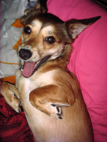 luna 20110302 1560994006 luna 20110302 1560994006