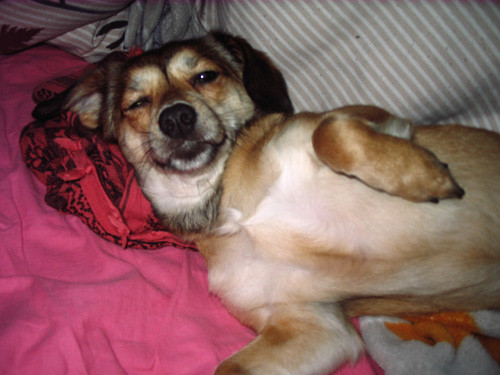 luna 20110302 1600905854 luna 20110302 1600905854