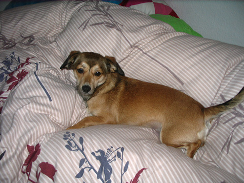 luna 20110302 1684131192 luna 20110302 1684131192