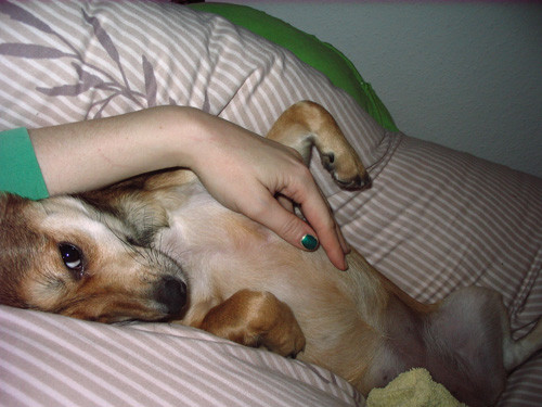 luna 20110302 1798845994 luna 20110302 1798845994