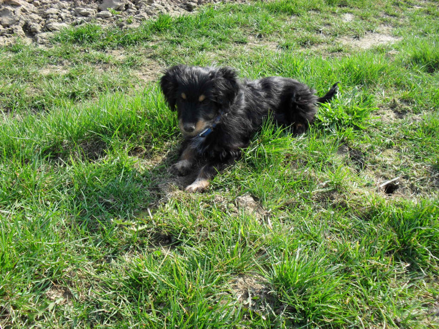 maexchen 4 20110524 1680021429 maexchen 4 20110524 1680021429