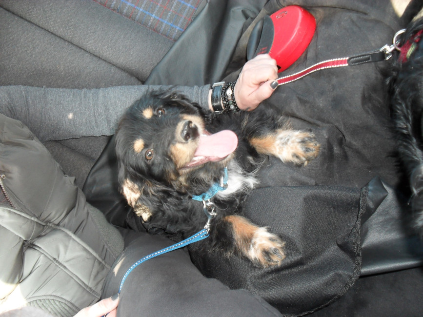 maexchen 6 20110524 1149889974 maexchen 6 20110524 1149889974