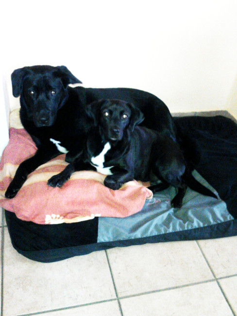 martha 20110115 1348255796