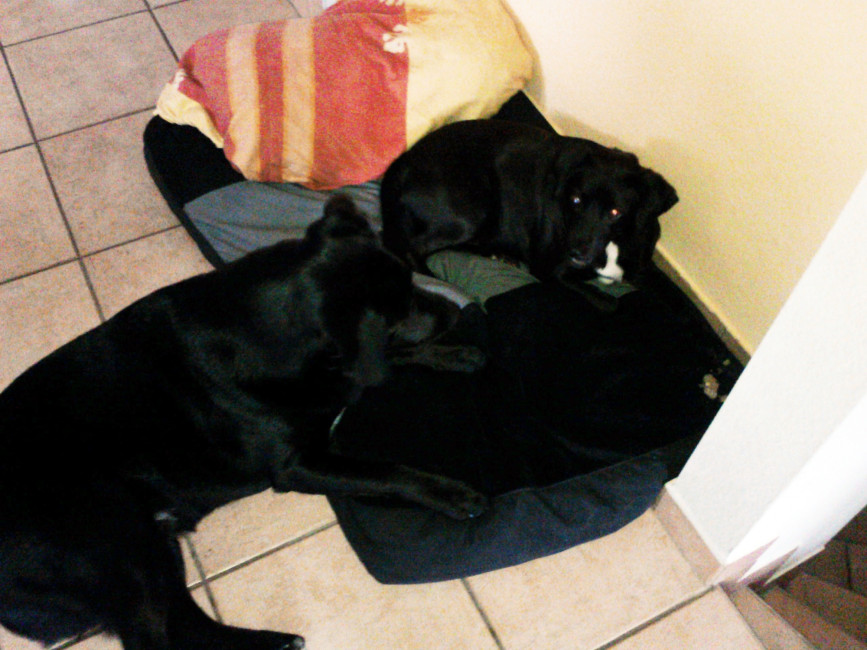 martha 20110115 1383904948