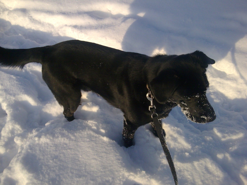 martha 20110115 1492537894 martha 20110115 1492537894