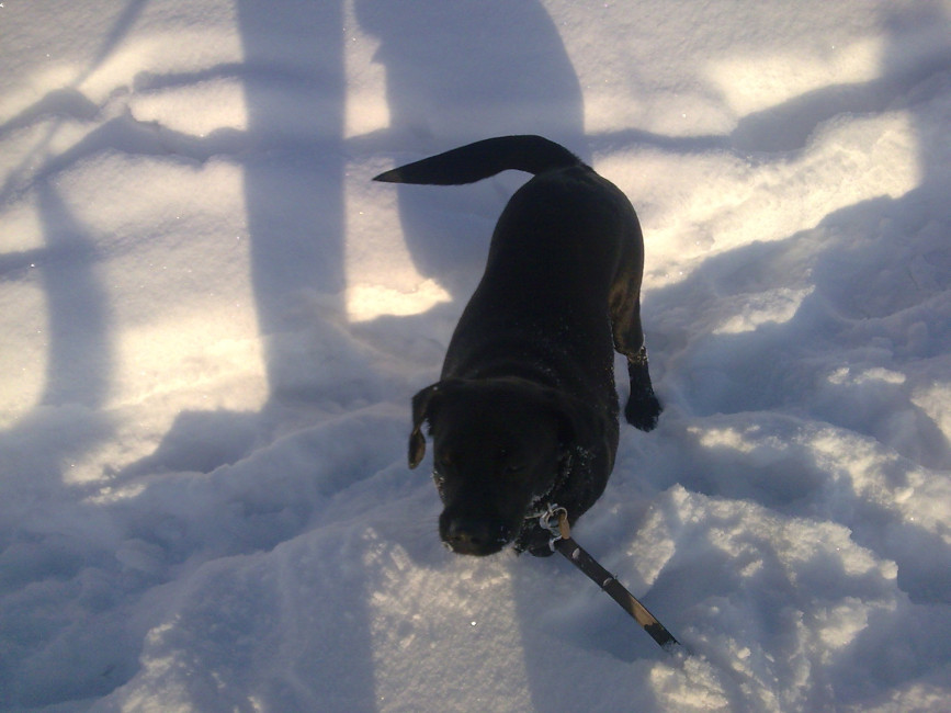 martha 20110115 1669516907 martha 20110115 1669516907