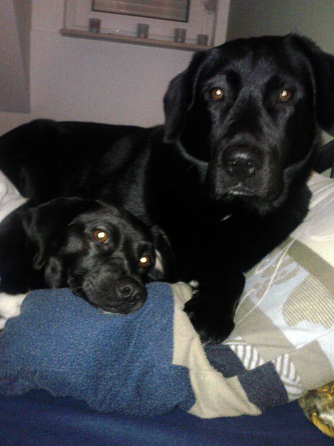 martha 20110115 2017258348 martha 20110115 2017258348