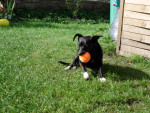 minuth 3 20111016 2031772016 minuth 3 20111016 2031772016