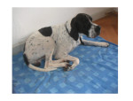 moshe 6 20110723 1469016514