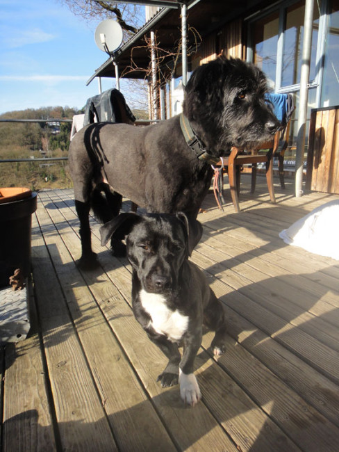 nino 20110210 1762655490 nino 20110210 1762655490