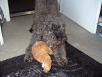 paco 20110217 1480573704 paco 20110217 1480573704