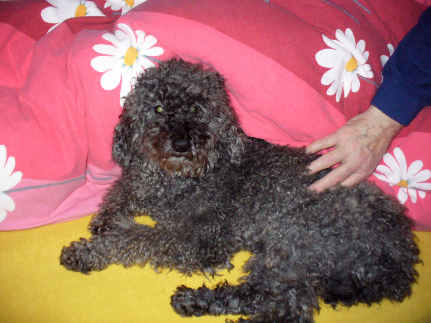 paco 20110217 1716186707 paco 20110217 1716186707