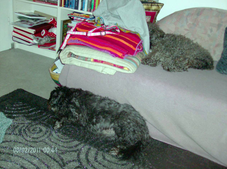 paco 20110217 2046799432 paco 20110217 2046799432