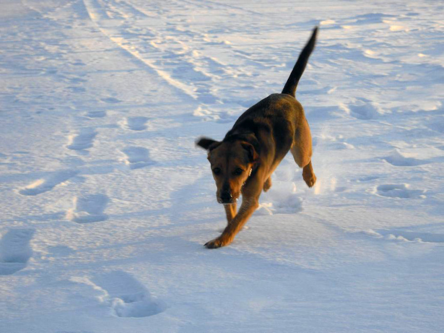 perrla 20110208 1637877012 perrla 20110208 1637877012