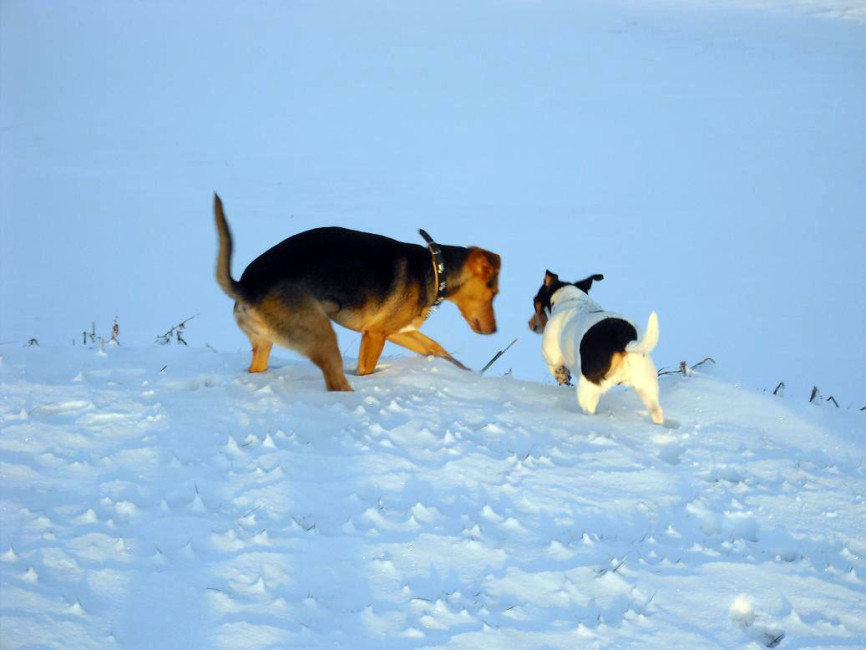 perrla 20110208 2085127628 perrla 20110208 2085127628