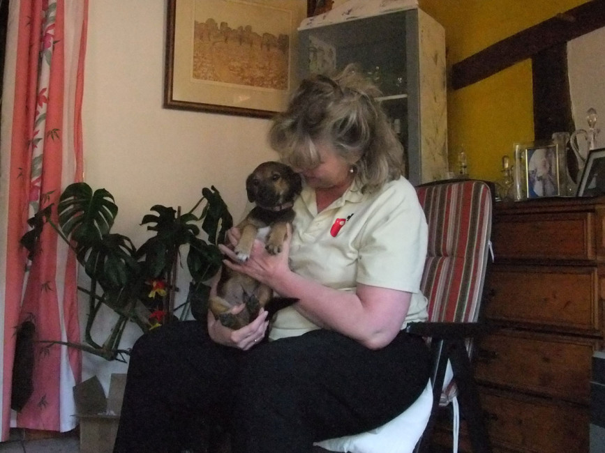 rolando 4 20111018 1093275294 rolando 4 20111018 1093275294