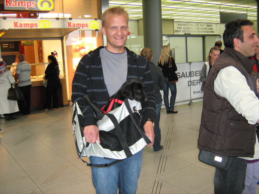 roxy 2 20110724 1944283020 roxy 2 20110724 1944283020