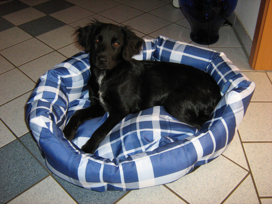 roxy 3 20110801 1715982715 roxy 3 20110801 1715982715