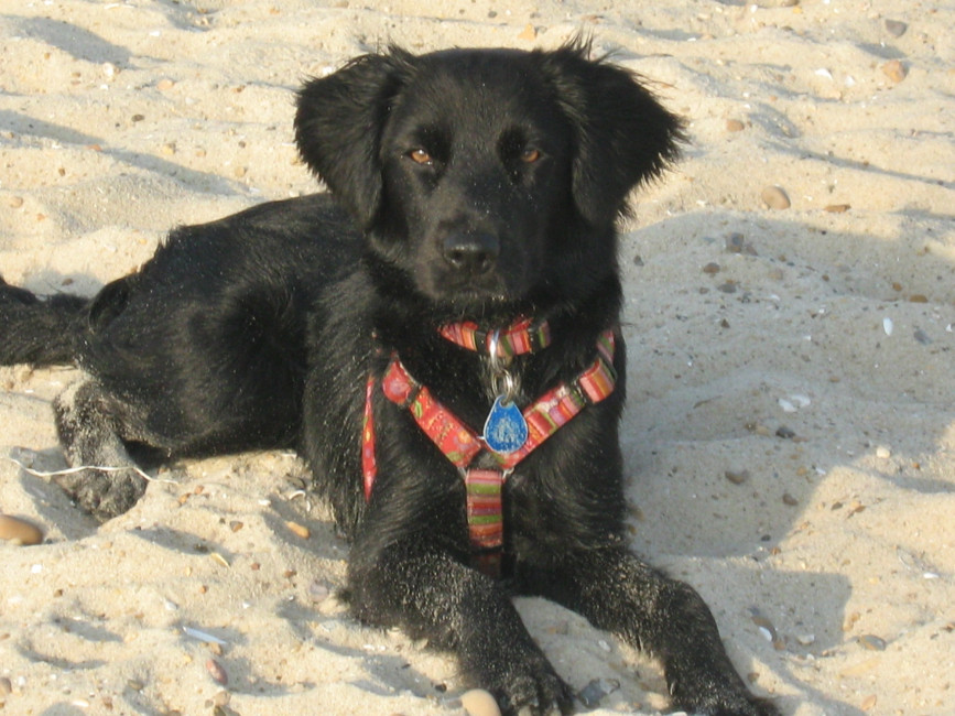 roxy 3 20111027 1895140768 roxy 3 20111027 1895140768