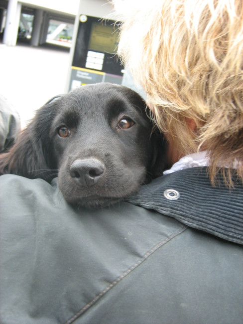 roxy 4 20110724 1343112827 roxy 4 20110724 1343112827