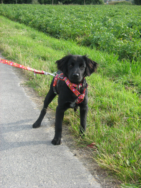 roxy 4 20110801 1458418053 roxy 4 20110801 1458418053