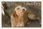 janfry 5 20160229 2018209717