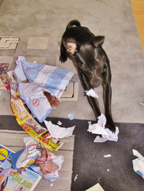 roeschen 3 20110614 1766364280 roeschen 3 20110614 1766364280