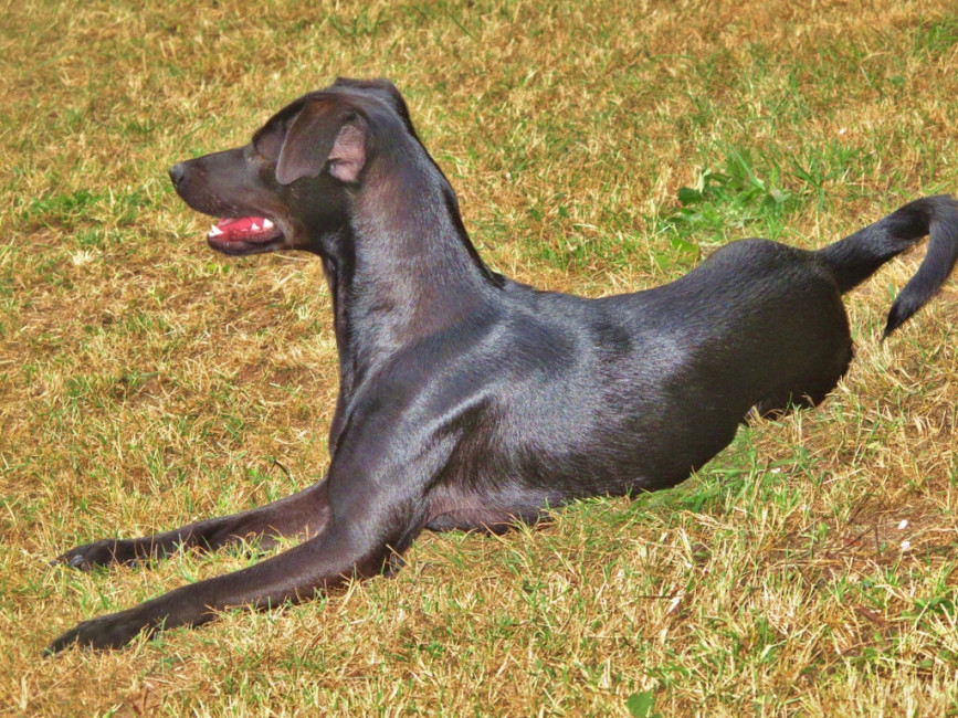 roeschen 4 20110614 1443598461 roeschen 4 20110614 1443598461