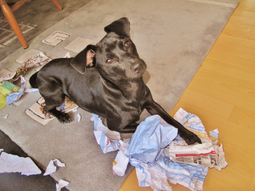 roeschen 5 20110614 1352142139 roeschen 5 20110614 1352142139