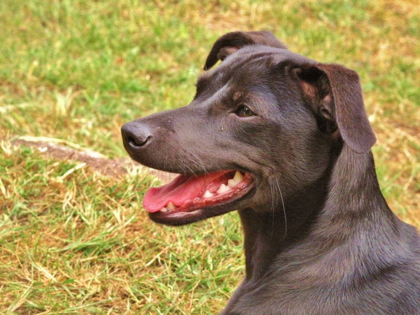 roeschen 6 20110614 1137231413 roeschen 6 20110614 1137231413