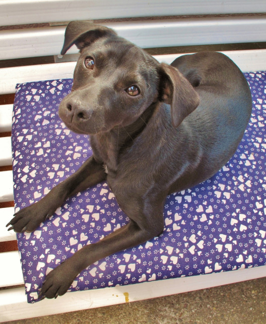 roeschen 7 20110614 1993945874 roeschen 7 20110614 1993945874