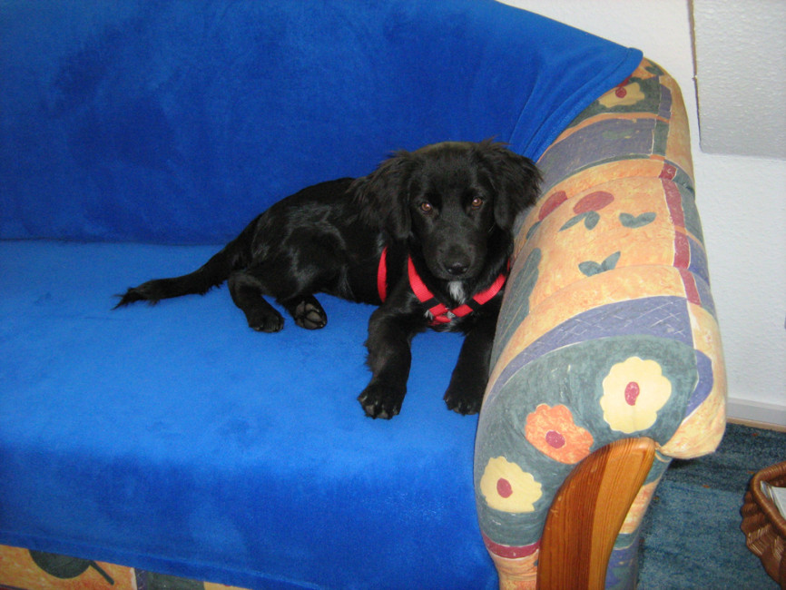 roxy 5 20110724 1864897031 roxy 5 20110724 1864897031