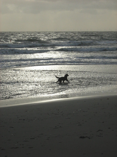 roxy 5 20111027 1565393201 roxy 5 20111027 1565393201