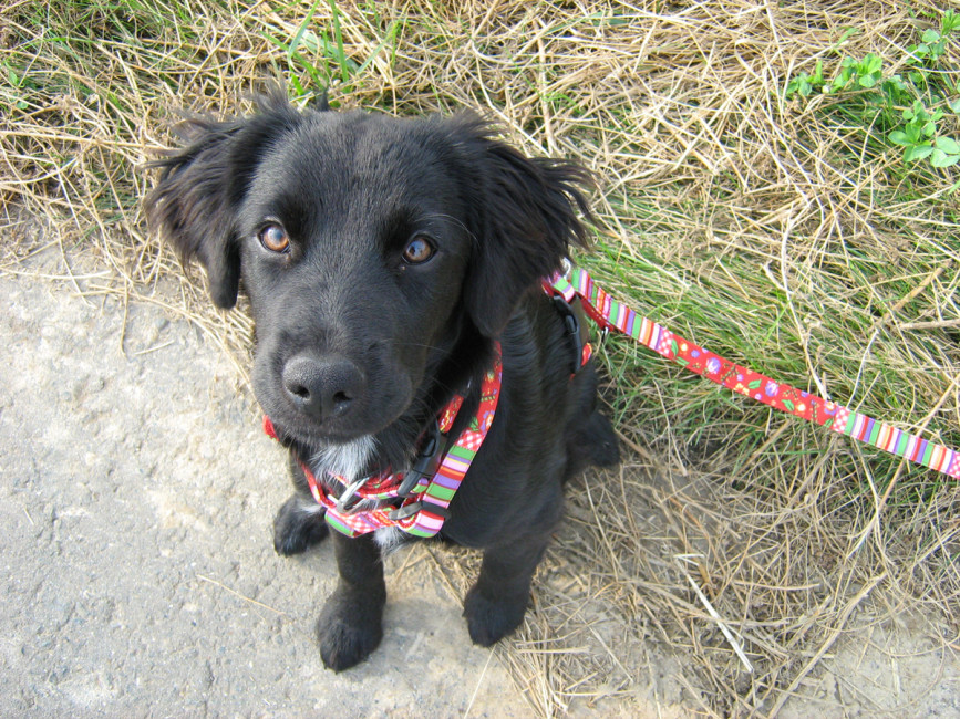 roxy 6 20110801 1756676058 roxy 6 20110801 1756676058