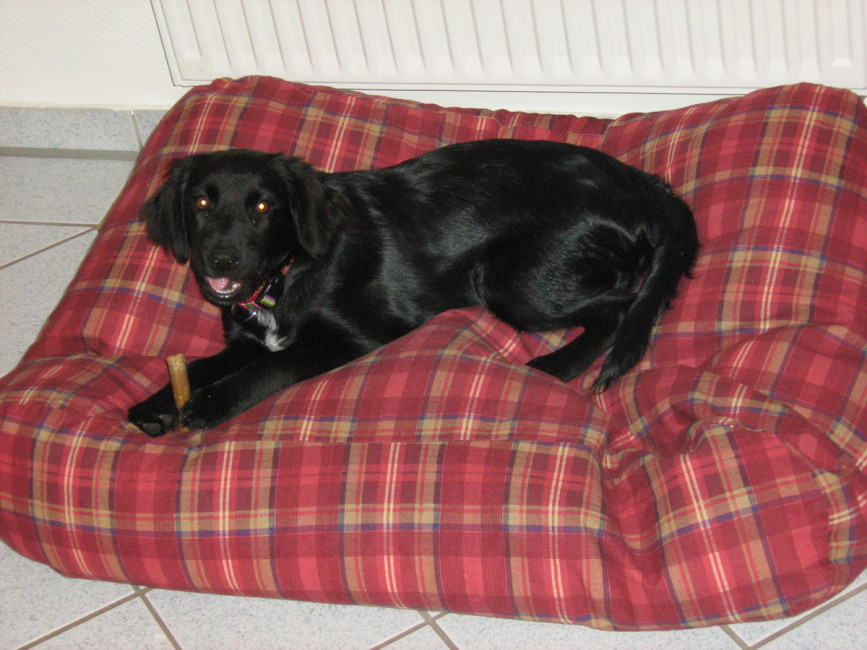 roxy 7 20110801 1310646037 roxy 7 20110801 1310646037