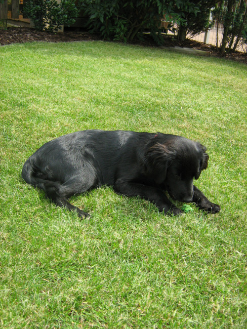 roxy 8 20110801 2051646396 roxy 8 20110801 2051646396