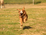 sandy 4 20111214 1089506620 sandy 4 20111214 1089506620