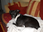 skippy 20110419 2069135322