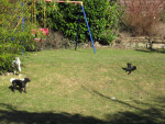 sweetie und sonny 20110216 1304044800 sweetie und sonny 20110216 1304044800