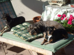 xiesco und pocholo 1 20110825 1088986779