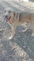 rubio 10 20161016 1924436611