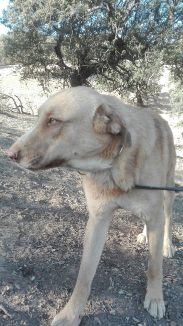 rubio 1 20161016 1473915041