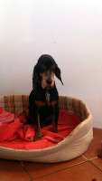 trebor 1 20161207 1767711680