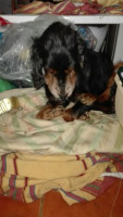 trebor 1 20161207 1968774574