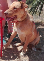 Baloo3