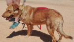 Baloo5