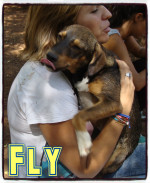 fly 5 20161008 1277052576